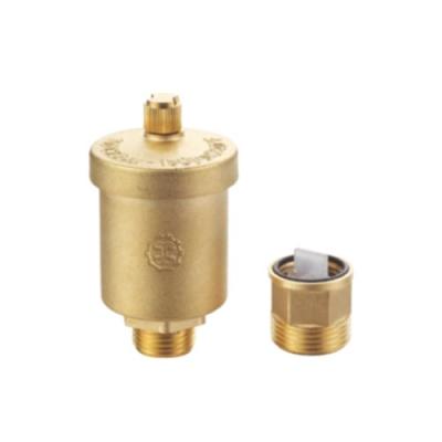 China AVAX DN15-DN50 PN10 PN16 PN25 Cheap Price Brass Thread Auto Exhaust Valve for sale