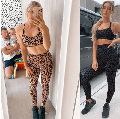 China 8112 2022 New Breathable High Quality Women's Activewear Sets Two-Piece Set Leopard Print Activewear Women Clothing Yoga Set for sale