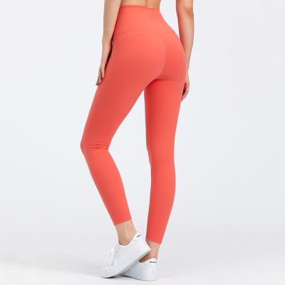 China 2186 New Gym Sports Tights Seamless High Stretchy Tummy Control Breathable High Waist Leggings Yoga Pants for sale