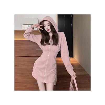 China Anti-wrinkle wholesale OEM factory sale autumn and winter ladies popular elegant slim casual warm hooded dress for sale