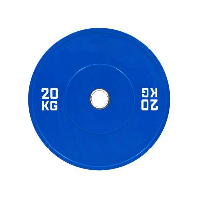 China Best Factory Supply Universal Sports Bodybuilding Custom Rising Jet Proof Blue Colored Round Weight Plates for sale