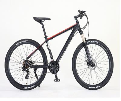 China High quality element youth mountain bike 29 inch outdoor sports mountain bike for sale