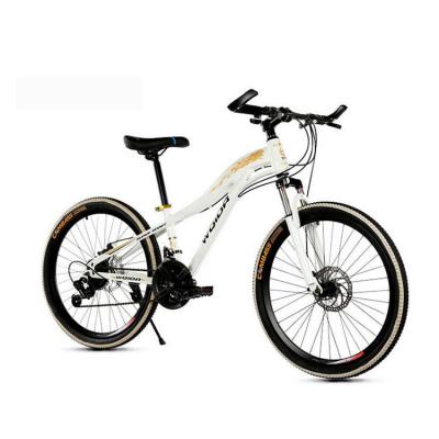 China mountain bike top selling modern design 26 inch variable speed mountain bike for sale