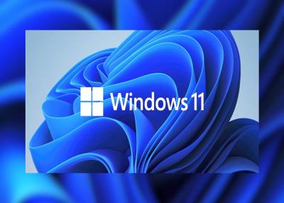 중국 UEFI OEM DVD Windows 라이센스 키 전체 패키지 TPM 2.0 Microsoft Windows 11 Pro 판매용