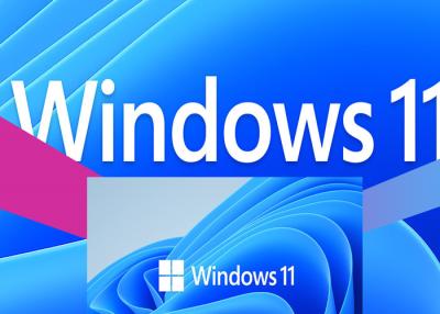 China WDDM 2.X Microsoft Windows 11 Professionele 4GB RAM 100% activeert Online UEFI Te koop