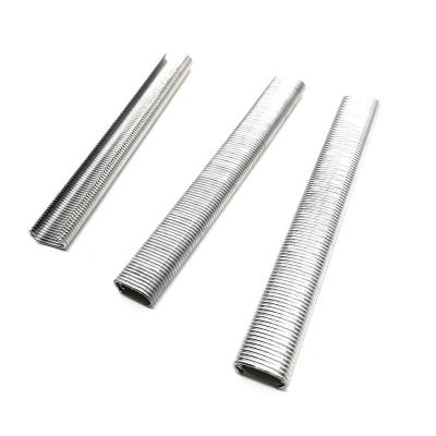 China sc-6 Galvanized Flat Cage C Ring Nail Hog Ring Staples Fastener Edge Clip Nail for sale