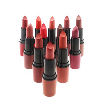 China Custom Sunscreen 12 Colors OEM Private Label Lipstick Matte Waterproof Lipstick Nude Matte Lipstick Customized Long LOGO Suit Stick Adult for sale