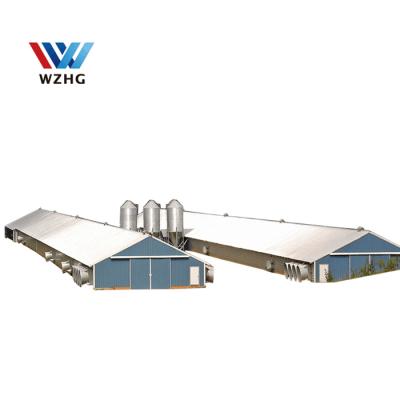 China Foundation Steel Warehouse Prefab Automated Poultry Farm Chicken Laid House Kenya for sale