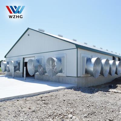 China Chicken House Poultry Farm China Manufacturers Steel Structure Designs Poultry Farm Chicken House Laid For Sale for sale