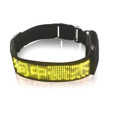 China Simple Design Padded Glow In The Night Adjustable Moving Control Led Dog Collar for sale