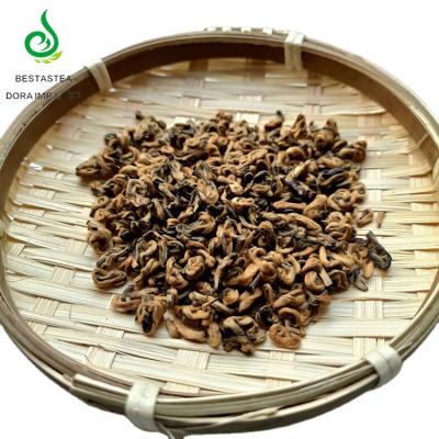 China Loose Snail Wholesale Chinese Black Gold Best Spring Tea Yunnan Spiral Black Tea for sale