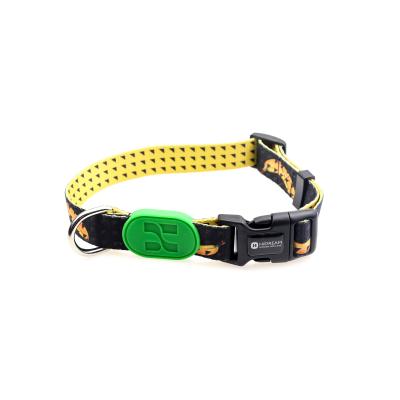 China Impresión Lanyard Dog Collar del plátano de 1 pulgada en venta