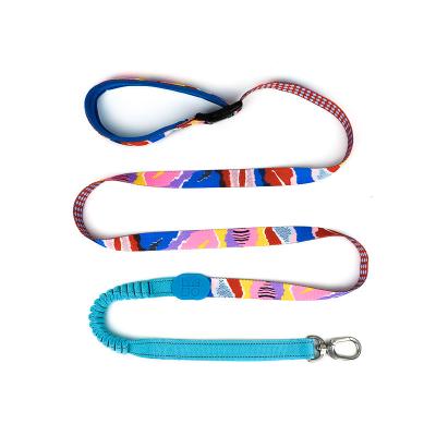 China Outdoor Hiking Retractable Anti Pull Dog Leash Lead 1 Inch Halti Handmade for sale