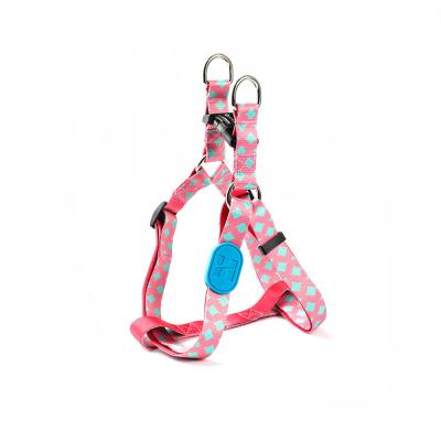 Cina Cavo del cane di S m. Polyester Webbing Bobby Dog Harness Non Pull in vendita