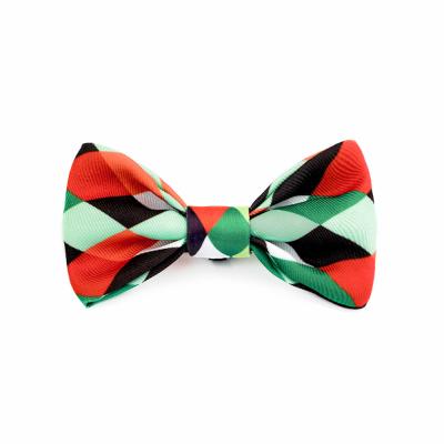 China 3.94in 10cm roter Regenbogen-Hunde-Bowtie Plaid Dog Collar With-Bogen zu verkaufen