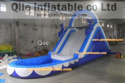 China dolphins inflatable wet & dry slide with pool,pool can removed ,double wave slide for sale