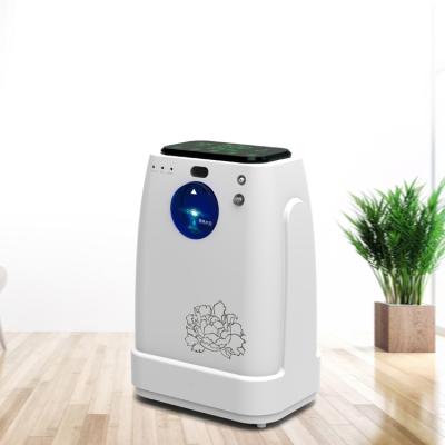 China Comfortable china factory cheap medical equipment 3L oxygen concentrator for sale