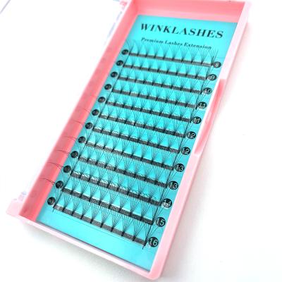 China Natural Cruelty Free Long Volume Pre Made Fans Sample 0.07 Vegan Synthetic Adhesive Lash Eyelash Extension 4d 3d for sale