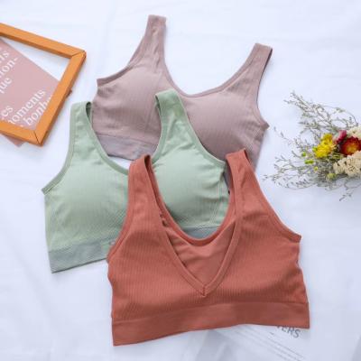 China Factory Sale Solid Color Hot Vest Breathable With Nice Sports Bra Back Set for sale