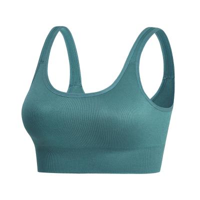 China China Manufacturer Breathable Bras Shein Seamless Sports Bra For Women for sale