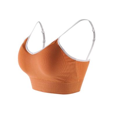 China Manufacturer Wholesale Fashion Seamless No Steel Ring Gathered Chest Wrapped Breathable Seamless Bra for sale