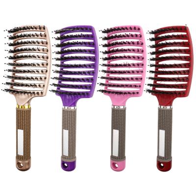 China Hairbrush Home Bristle Comb Massage Scalp Nylon Hair Women Wet Detangle Hair Brush Salon Dry Curly Hairstyle Styling Tool for sale