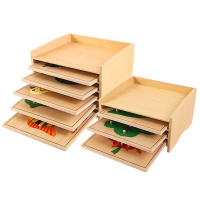 China Eco-Friendly Material Science and Culture of Montessori Teaching Aid Educational Toys for Early Childhood Education Factory Puzzle Cabinet for sale