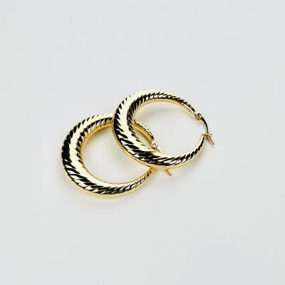 China FASHIONABLE 18K Gold Plated Korean Fashion Trendy Custom Women's Stainless Steel Hoop Earrings Popular Luxury Designer Brands for sale