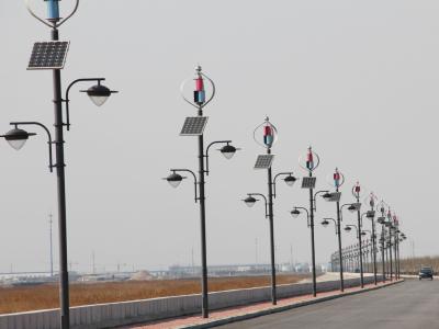 China CE Wind Solar Hybrid Street Light System With Vertical Axis Maglev Wind Turbine for sale