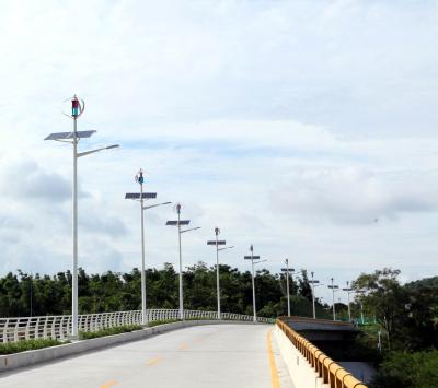 China Magnetically Levitated Wind Turbine 60W LED Wind Solar Hybrid Street Light System for sale