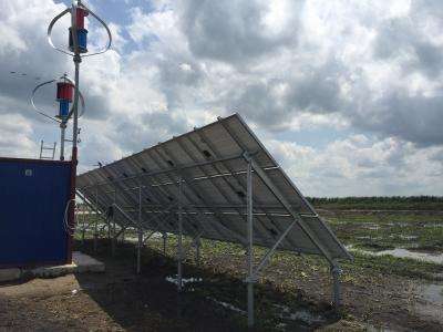 China Palmo de la larga vida en la turbina de viento de la rejilla, viento y solar híbridos para el hogar en venta