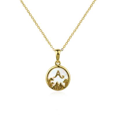 China ZHONG NUO 2022 Wholesale Fashion Women's Clavicle Necklace Chain Customizable Design CLASSIC Hypoallergenic Jewelry for sale