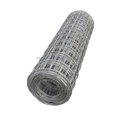 China Perforated Screen 1/2x1 1x1 Hot Dip Galvanized Iron Welded Wire Cloth Mesh / 16 Gauge Electro Galvanized Square Hole Welded Mesh Rolls for sale