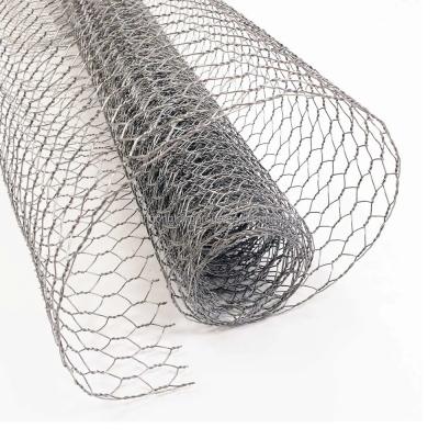 China Affordable Galvanized Welded Iron 19 Gauge Wire Mesh Hardware Cloth with Request Wire Gauge and Perforated Technique for sale