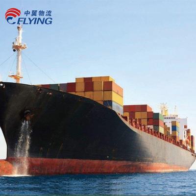 China Cheap Sea Freight Shipping Cost Door to Door DAP logistics Service From Shenzhen, China to USA NEW YORK Directly for sale