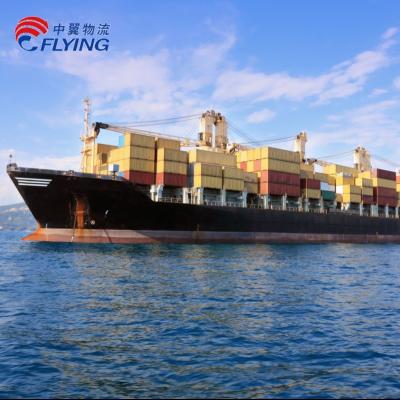 China Cheap Sea Freight Shipping from China to Nassau port Bahamas Sea Freight Rate en venta