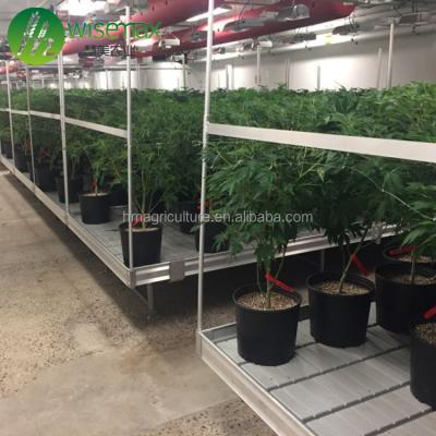 China Flood Clear Hydroponic Tables and Trays Drop and Go Rolling Bench in America for sale