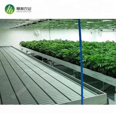 China Clear Hot Galvanized Steel Rolling Bench Growing Table Greenhouses Nursery for sale