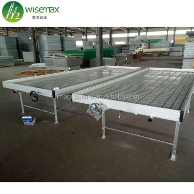 China Clear Modern Greenhouse Hydroponic Seedling Tables With Rolling Bench for sale