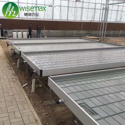 China Clear Automated Hydroponic Flood Table System Growing Trays Rolling Benches for sale