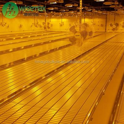 China Aquaponics Clear Trays Elevating Equipment Low Cost Ebb And Flood Rolling Bench for sale