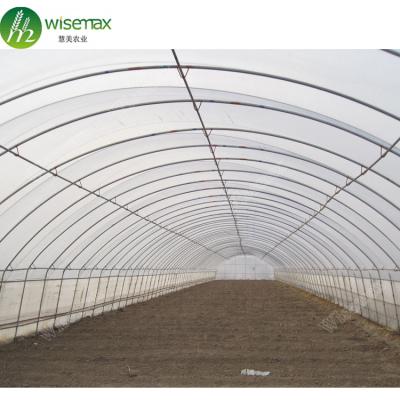 China PE Fully Galvanized Single Frame Polytunnel Span Greenhouse for sale