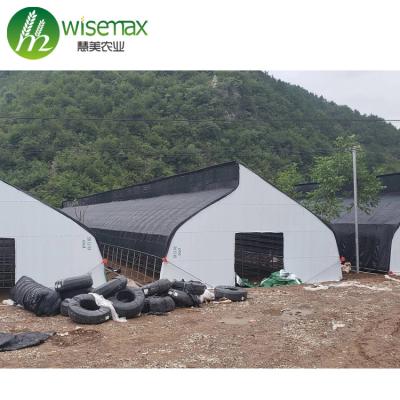 China Hot Sale PE Single Span Tunnel Plastic Sheet Mushroom Greenhouse for sale