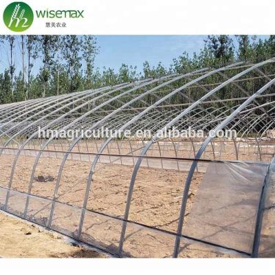 China Waterproof Industrial Flat Roof Hot Galvanized Arch Steel Pipe Single Span Greenhouse for sale