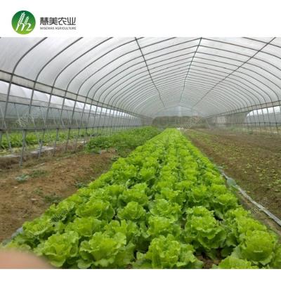 China Waterproof single span invernadero agriculture greenhouse cheapest in canada for sale