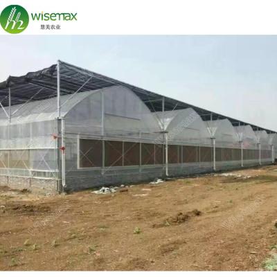 China UV Resistant Agricultural Plastic Film Folding Greenhouse For Vegetable Fruits for sale