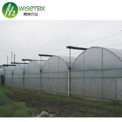 China Waterproof High Quality Poly Circle Steel Frame Tunnel Hot Galvanized Greenhouse for sale