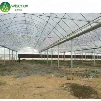 China Waterproof Multi Span Plastic Film Agricultural Greenhouses / Vegetable Greenhouses for sale