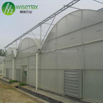 China High Yield Waterproof Multi Span Greenhouse Full Set Hydroponic Growing System For Lettuce for sale