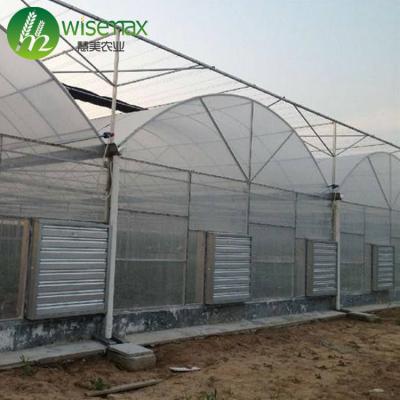 China Agriculture Products Waterproof Poly Tunnel Multi Span Commercial Greehouses for sale